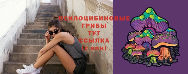 шишки Майский