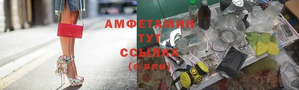 шишки Майский