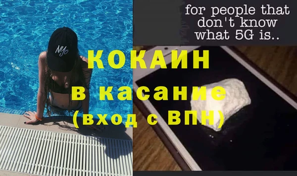 шишки Майский